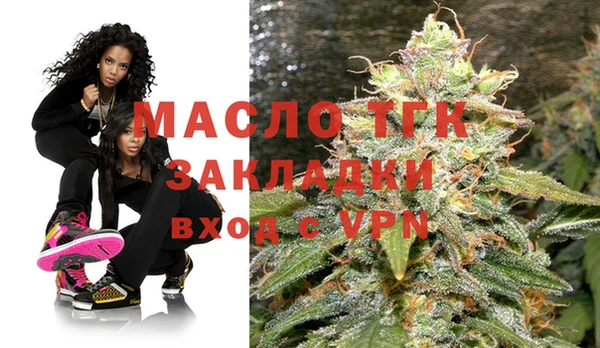 индика Вяземский