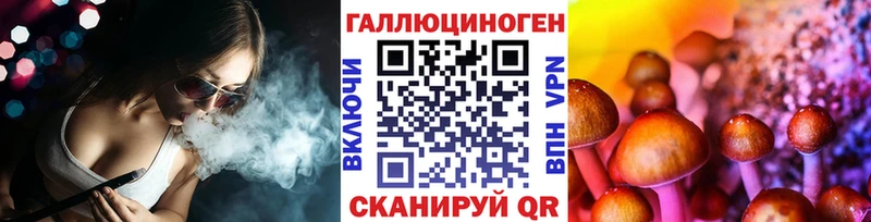 Псилоцибиновые грибы Psilocybe Каргополь